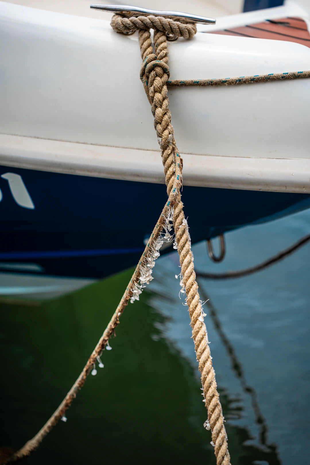 Tipps zur Wartung und Pflege von Radankern